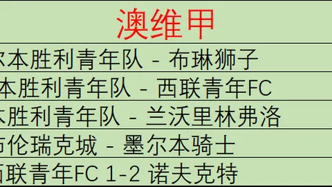 独家披露：纽卡斯尔欲以超亿欧元报价，力邀恩梅查加盟，多特转会大门开启